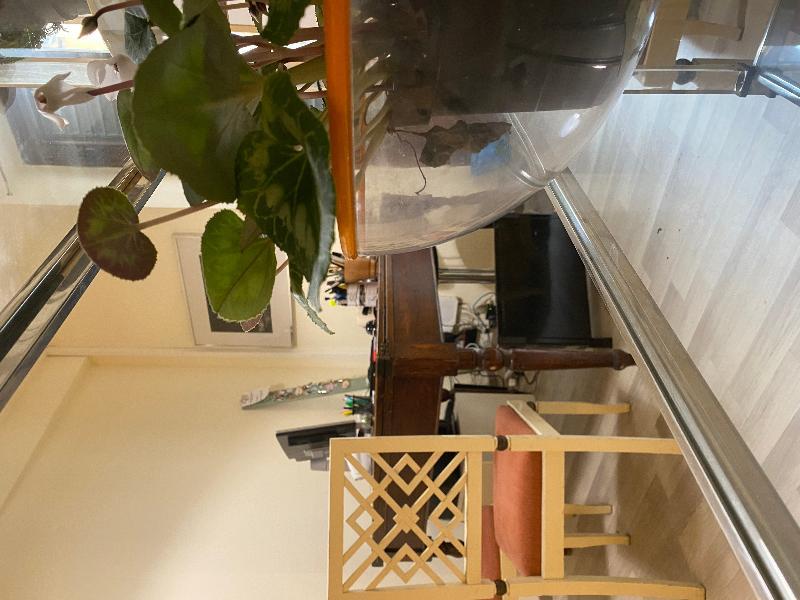 Panzani 14 Touristhouse Otel Montespertoli Dış mekan fotoğraf